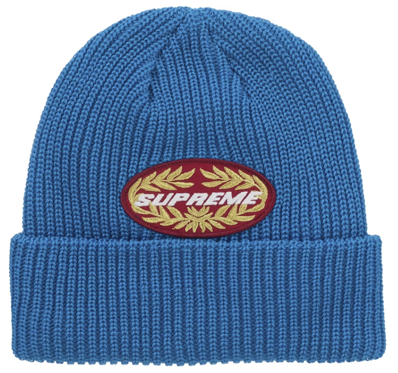 Supreme Terminal Beanie Blue