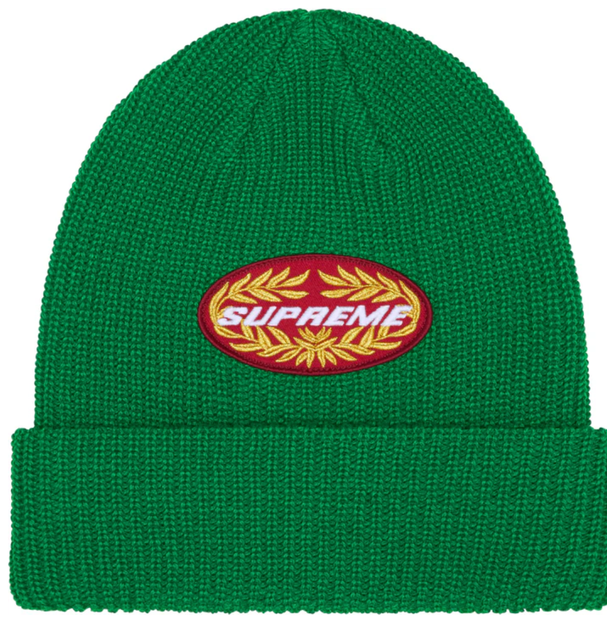 Supreme Terminal Beanie Green